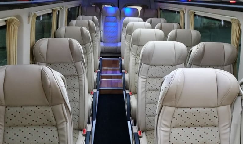 Romania: Coach company in Dâmbovița County in Dâmbovița County and Terwisch